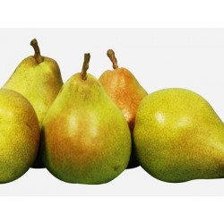 Pere Decana 1 kg