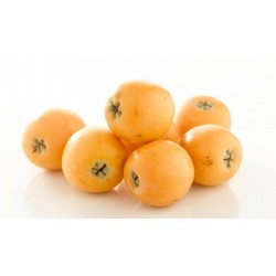 Nespole 1 kg
