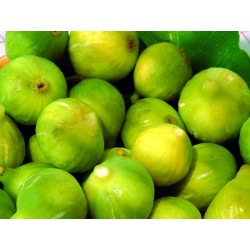 Fichi Bianchi 1 kg