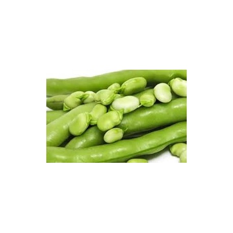 Favette Per Rosolare 200 gr