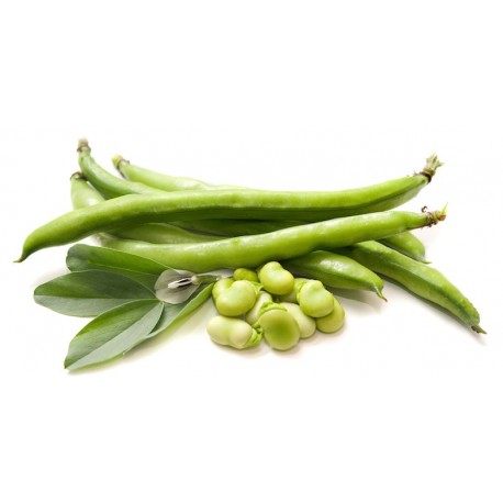 Favette Per Lessare 500 gr