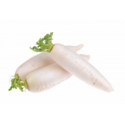 Daikon o Ravanello Giapponese 1 pezzo