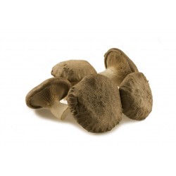 Funghi Cardoncello 500 gr