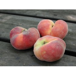 Pesche Galletta 1 kg