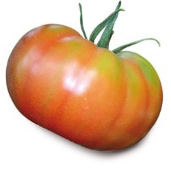 Pomodoro di Campo ISILI 1 kg
