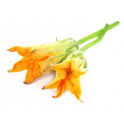 Fiori Di Zucca un mazzo