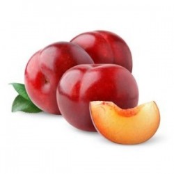 Pruna Cerexa 500 gr