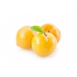 Susina gialla 1 kg