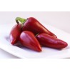 Peperoncini  Freschi Piccanti 5 Pezzi