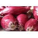Cipolla Tropea IGP 500 gr