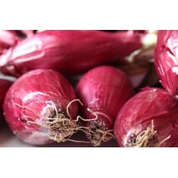 Cipolla Tropea IGP 500 gr