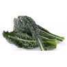 Cavolo Nero 1 mazzetto