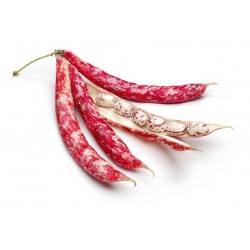 Fagioli Borlotti 500 gr